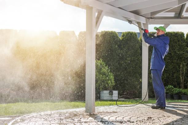 Best Solar Panel Cleaning  in Du Quoin, IL